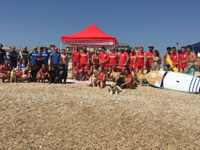 dogexpo2-650x488