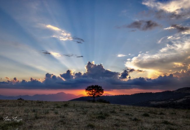 notte_canfaito_foto_matteo_mazzoni-2-650x444