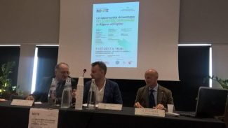 paesi-arabi-confindustria