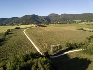 Azienda-bisci-2-325x244