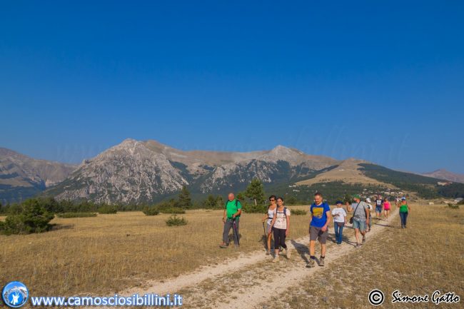 CAMOSCIO-SIBILLINI-1-650x433