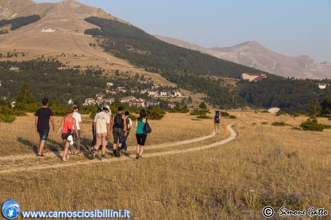 CAMOSCIO-SIBILLINI-3-650x433