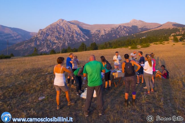 CAMOSCIO-SIBILLINI-4-650x433