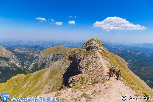 CAMOSCIO-SIBILLINI-7-650x433