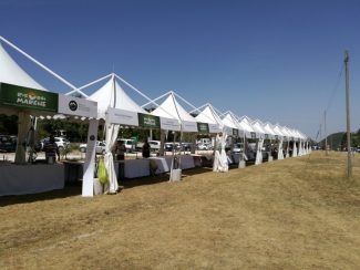 RisorgiMarche-2-325x244