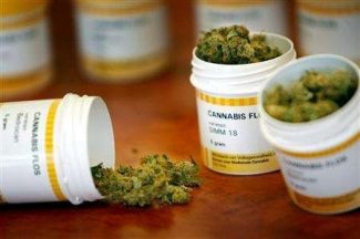 cannabis-terapeutica