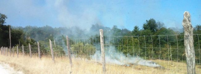 incendio-gualdo-penna-1-650x242