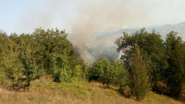 incendio-gualdo-penna-2-650x365