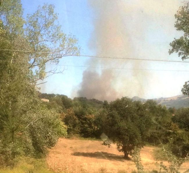 incendio-gualdo-penna-picacchi-2-650x593