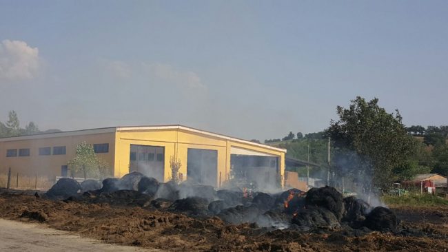 incendio-matelica2-650x366