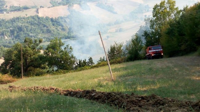 incendio-picacchi