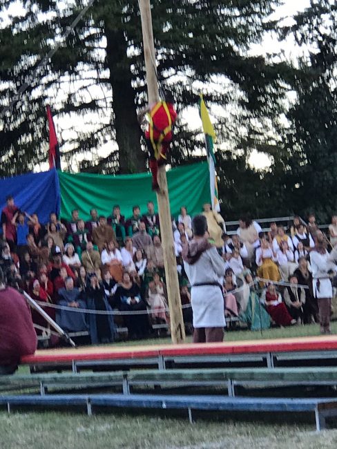 palio-del-serafino-2017-32-488x650