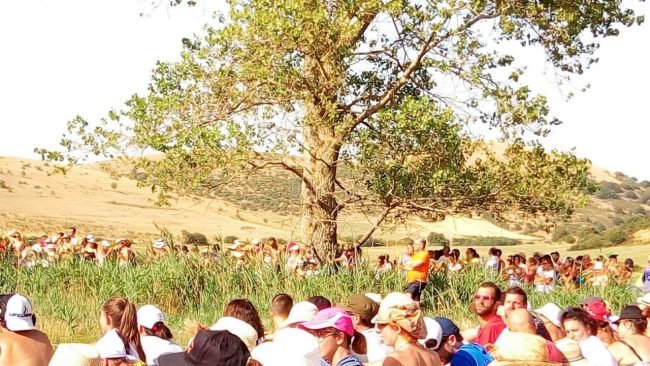 risorgimarche-max-gazzè-10-650x366