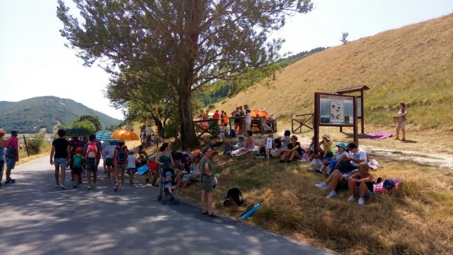 risorgimarche-max-gazzè-8-650x366