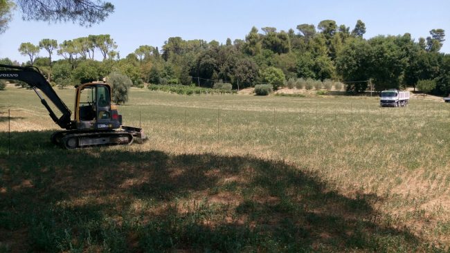 sae-treia-2-650x366
