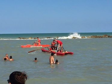tartaruga-civitanova-1