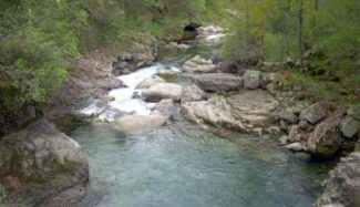 torrente