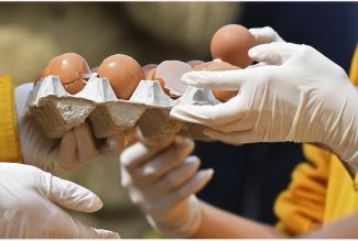 uova_fipronil
