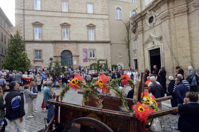 FestaCanestrelle_FF-15-650x433
