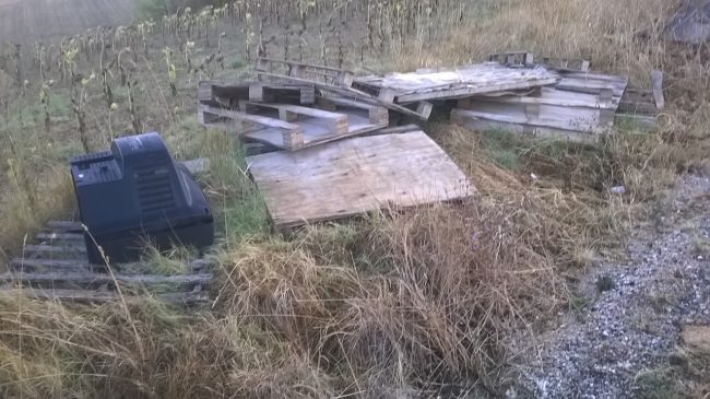 Foto-Bancali