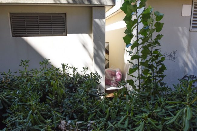 bivacchi-palazzine-dietro-la-stazione-civitanova-2-650x434