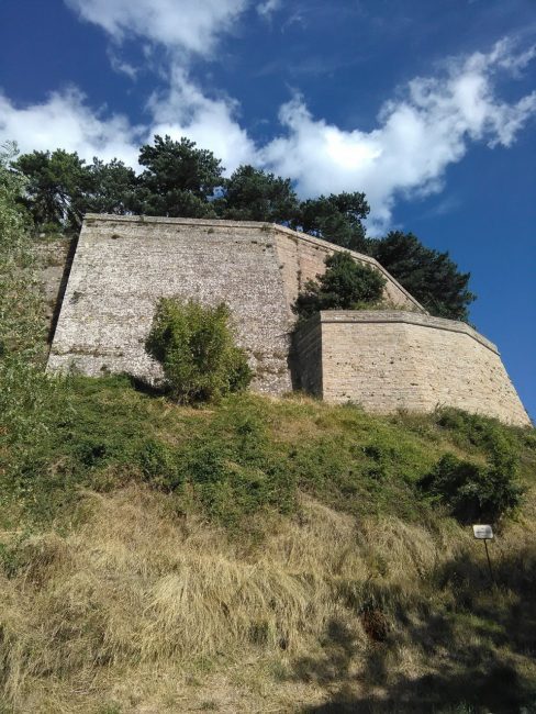 cammino-lauretano-1-488x650