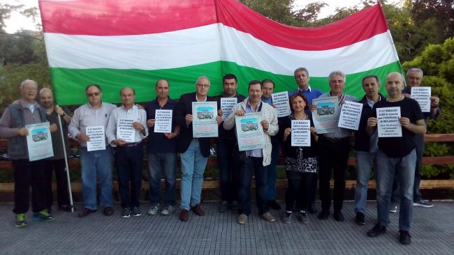 comitato-pro-ospedale