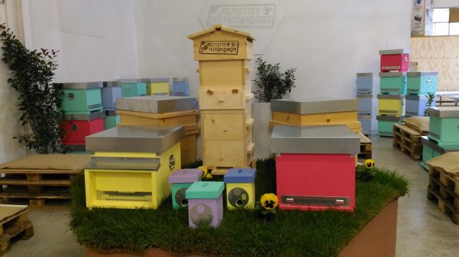 Apicoltore4-650x365