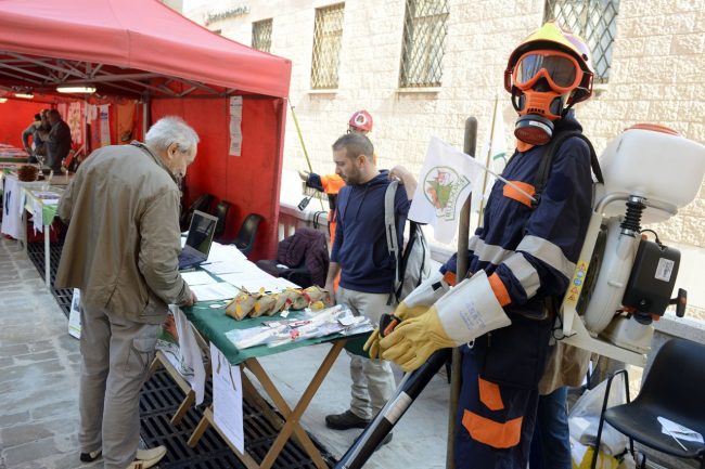 Associazioni_FF-6-650x433