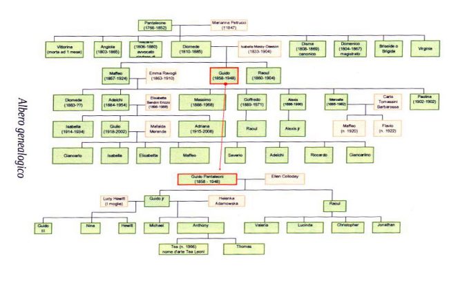 albero-genealogico-pantateloni