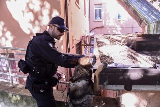 controlli-carabinieri-e-cinofili-scuola-ipsia-civitanova-FDM-2-325x217
