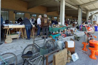 fiera-dellusato-villa-potenza-7-325x217