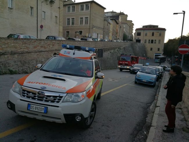 gabbiotto-r-zar-malor-2-650x488