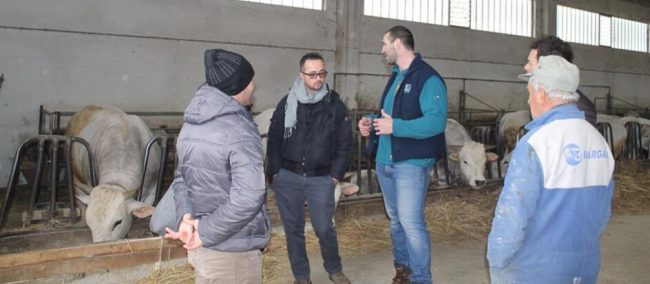 macelleria-vecchi-allevamenti