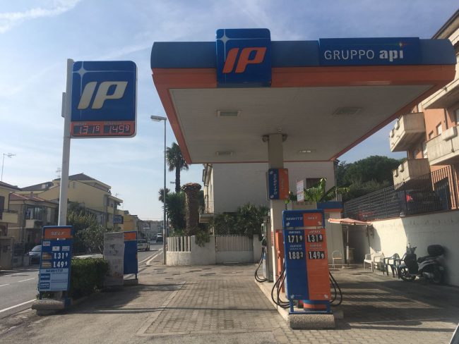 rapina-api-civitanova
