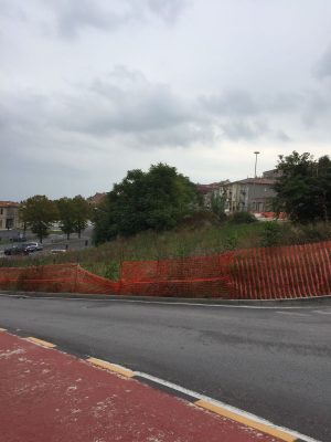 sgambatoio-cani-recanati