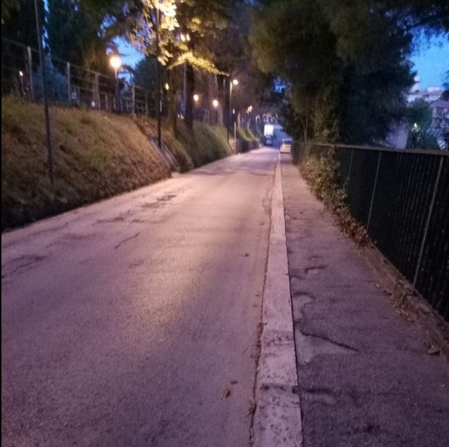 siringa-viale-indipenza2-e1508402570486-650x646