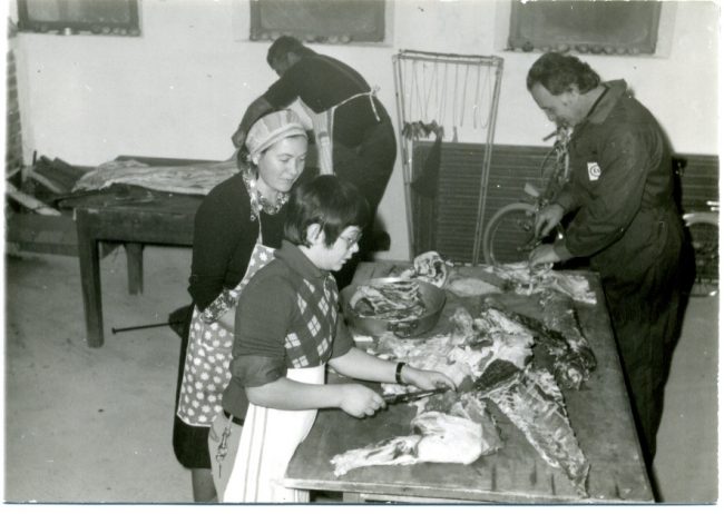 Archivio-Salvucci003-650x462