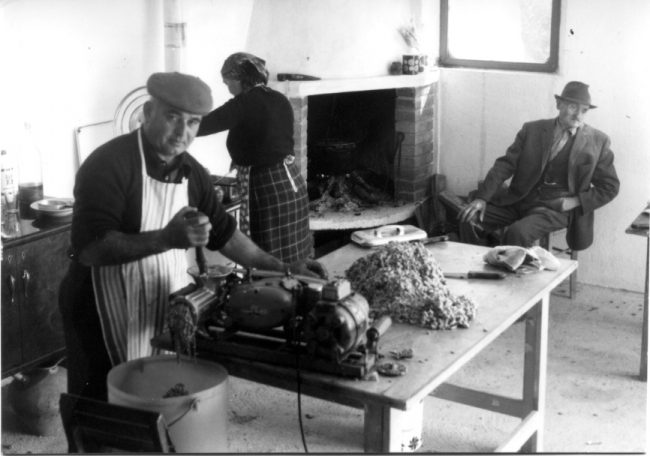 Archivio-Salvucci006-650x456
