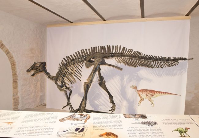 Prosaurolophus_mostra-Palazzo-Claudi