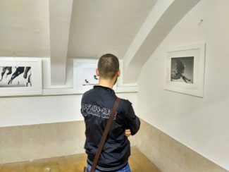 balelli-1-325x244