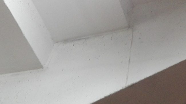 palazzetto-san-severino-3-ginnastica-artistica-650x365