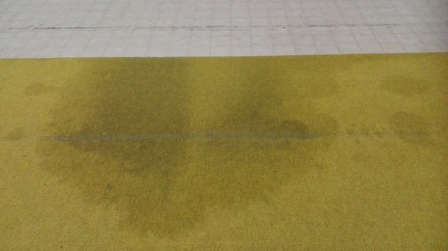 palazzetto-san-severino-4-ginnastica-artistica-650x365