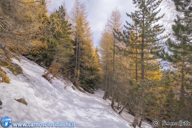 simone-gatto-7-650x433