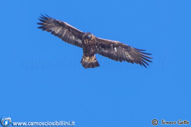 Ciaspolonga-di-Santo-Stefano-2017-ussita-frontignano-12-650x433