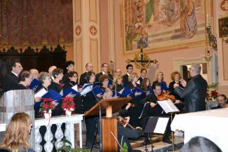 DSC_0019-325x217