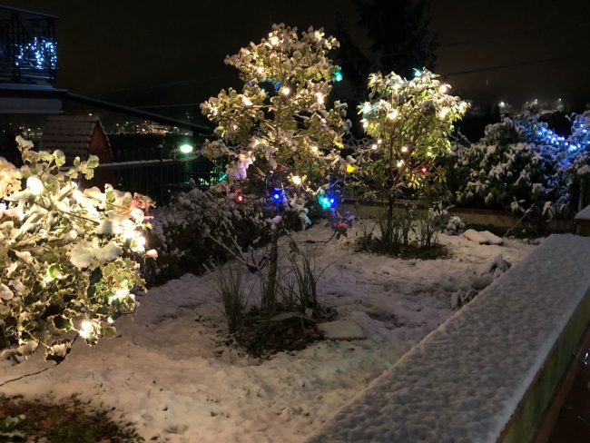 Neve-cingoli-5-650x488