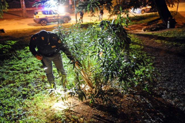 Polizia_controlli_giardiniDiaz_FF-12-650x433