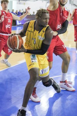 Yande-Fall-Basket-Recanati