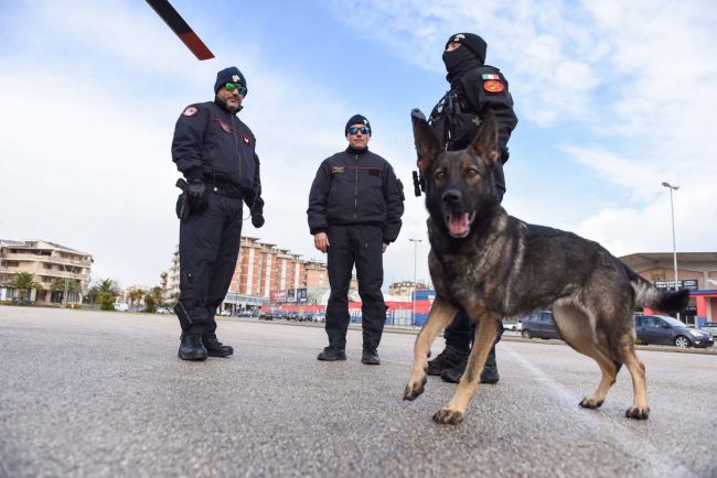 controlli-carabinieri-archivio-arkiv-cc-elicottero-cinofili-civitanova-FDM-2-650x434